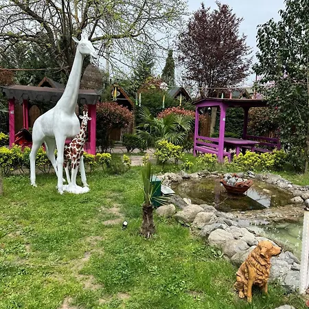 Gonul Sofrası Otel&bungalow Otel Sapanca