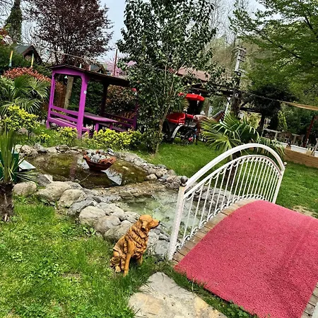 Gonul Sofrası Otel&bungalow *