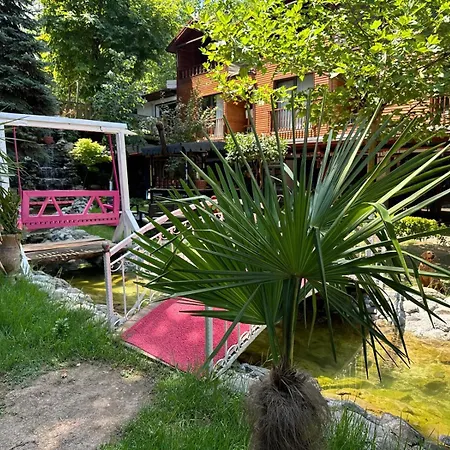 Gonul Sofrası Otel&bungalow * Sapanca